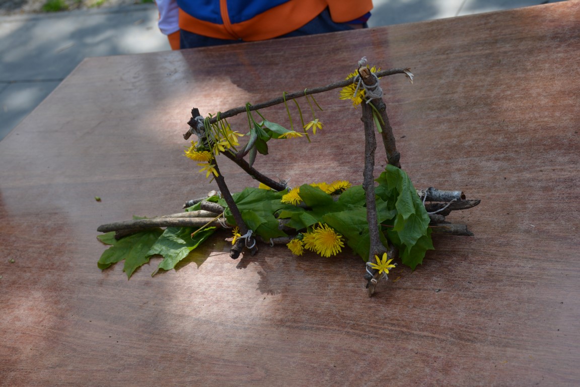 DSC_0736 (Medium).JPG